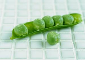 癒しの時間を過ごすならホストクラブ